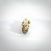 This is a hand carved deer antler cat skull pendant. It is made from deer antler, bone. This is a large sized necklace and is a very unique, one only, pendant that is a collectors piece. Hand carved deer antler cat skull necklace for men and women.